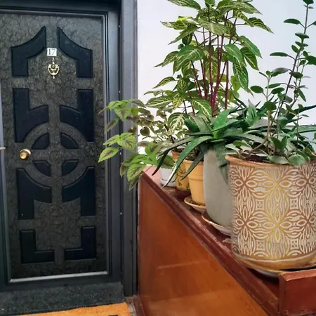 דירה Timi Apartament